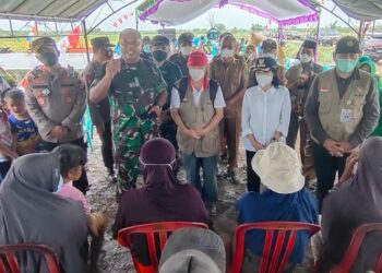 Panen Padi Hibrida di Demplot Percontohan Mulya Sari Capai 7 Ton