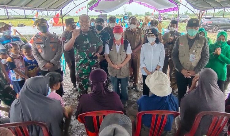 Panen Padi Hibrida di Demplot Percontohan Mulya Sari Capai 7 Ton