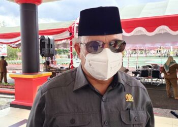 Penting Adanya Tim Terpadu Penyelesaian Sengketa Lahan di Murung Raya