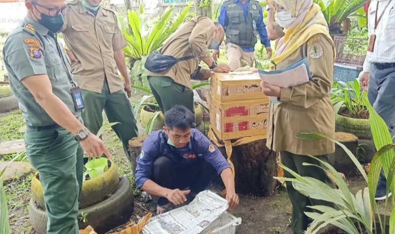 Petugas Gagalkan Penyelundupan Ratusan Ekor Burung Keluar Kalteng 1