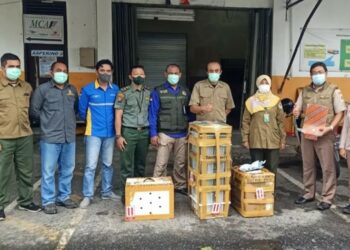 Petugas Gagalkan Penyelundupan Ratusan Ekor Burung Keluar Kalteng