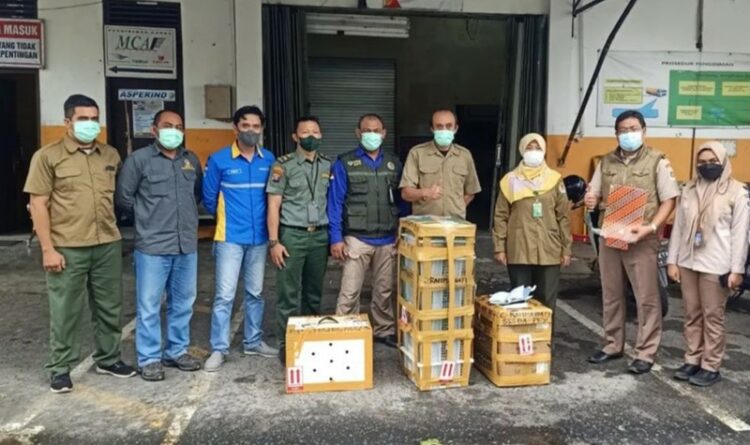 Petugas Gagalkan Penyelundupan Ratusan Ekor Burung Keluar Kalteng