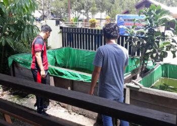 Polsek Hanau Bangun Ketahanan Pangan dengan Budidaya Lele