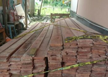 Polsek Karau Kuala Amankan Kayu Olahan yang Diduga Ilegal 2