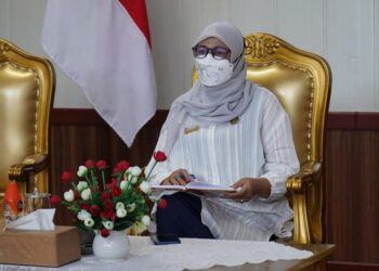 Asisten Adum Setda Kalteng Hadiri WebinarPercepatan Realisasi APBD dan Penunjukan Pejabat Pengelolaan Keuangan Daerah Pasca Penyetaraan Jabatan dilingkungan Pemda