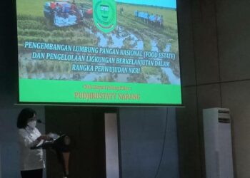 Bupati Pulang Pisau Hadiri Rakor KKN Kebangsaan di Kapuas