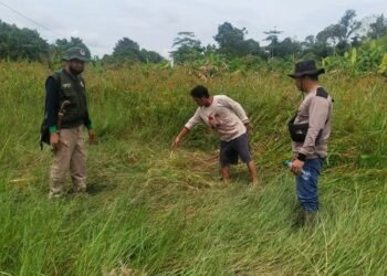 Diduga Kuat Nenek Meninggal di Dusun Tewah Cempaga Bukan Karena Beruang