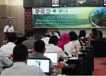 H. Nuryakin saat menyampaikan sambutan pada Rapat Tim Pendataan dan Pemetaan Perkebunan Kelapa Sawit Pekebun yang Terindikasi dalam Kawasan Hutan