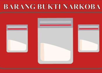Bawa Sabu Perempuan Paruh Baya Asal Cempaga Diamankan