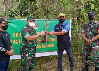 Saatnya Melebarkan Orientasi Jadi Desa Agrowisata