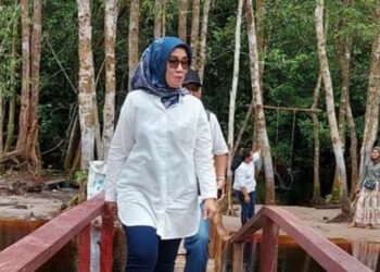 Ketua Komisi III DPRD Kalteng, Siti Nafsiah saat mengunjungi lokasi wisata beberapa waktu lalu. (Ist)