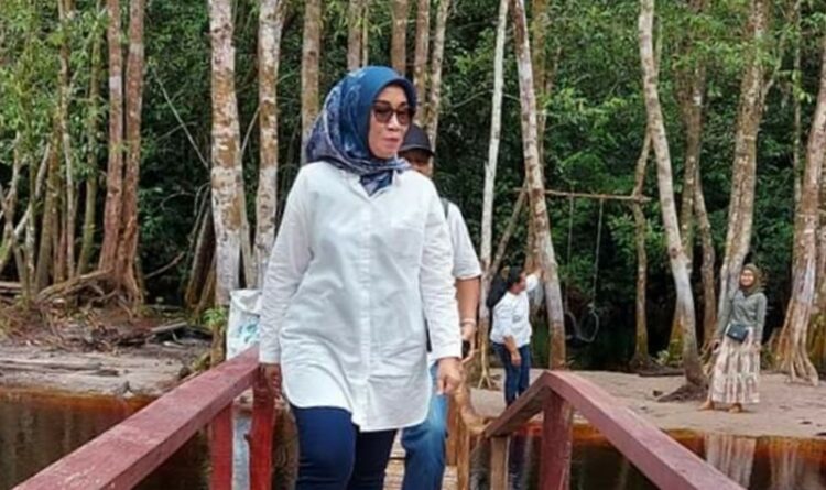 Ketua Komisi III DPRD Kalteng, Siti Nafsiah saat mengunjungi lokasi wisata beberapa waktu lalu. (Ist)