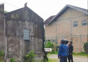 Di Sampit, Sejumlah Monyet Datang Pemukiman Warga
