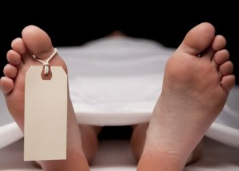 Sempat Buron, Pelaku Pembunuhan Wanita di Gunung Bintang Awai Tertangkap 1