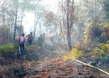 TNI Bantu Padamkan Api Akibat Karhutla