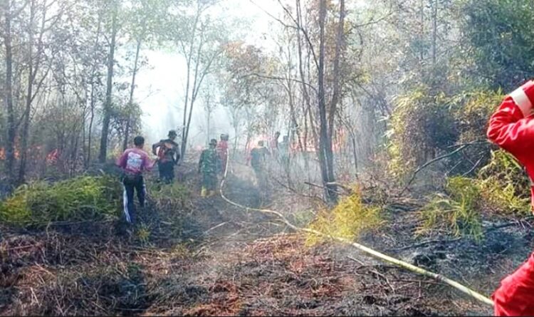 TNI Bantu Padamkan Api Akibat Karhutla