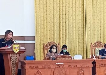 Ini Pandangan Fraksi Demokrat terhadap Dua Perda yang Diajukan