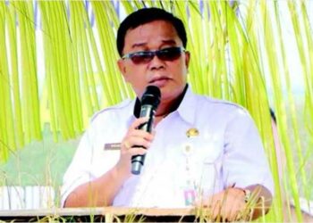 Musim Tanam Periode Okmar Alami Surplus