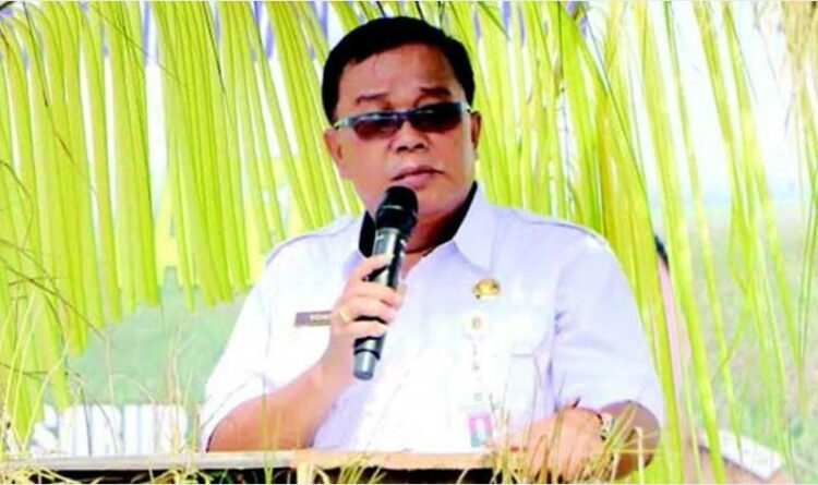 Musim Tanam Periode Okmar Alami Surplus