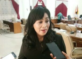 Ketua Komisi II DPRD Barsel, Ensilawatika saat setelah kegiatan RDP (ist)