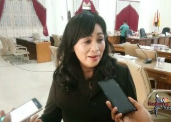 Prismayandi SSTP, Camat Dusun Tengah ; merger BUMDes bisa merangsang kreativitas dan profesionalitas