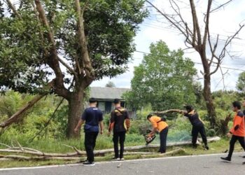 Pohon Mati Dibersihkan Jelang Arus Mudik