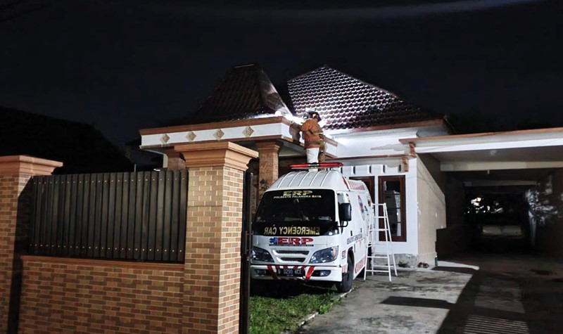  Bersarang di Rumah Mewah, 2 Warga Jadi Korban Sengatan Tawon Vespa