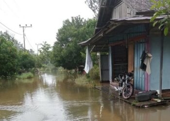 Wilayah Tumbang Samba, Kecamatan Katingan Tengah yang direndam banjir, Kamis