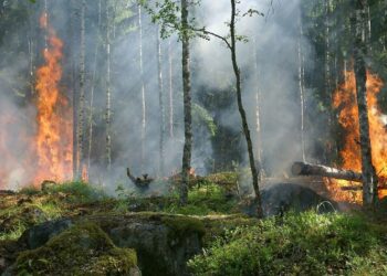 Pantau Lokasi Rawan Karhutla