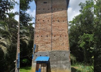 sarang burung walet