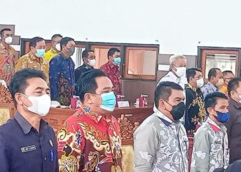 Pengawasan Dana Desa Mesti Diteliti
