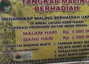Ayo, Siapa Berhasil Tangkap Maling Dapat Hadiah