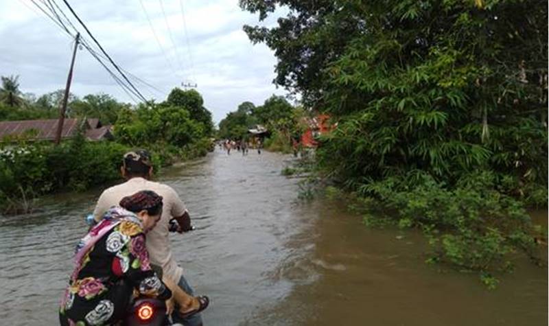 Banjir Terjang Sejumlah Wilayah di Barito Timur