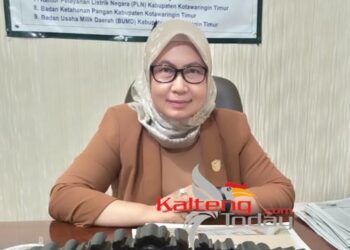 Foto - Anggota Komisi II DPRD Kabupaten Kotawaringin Timur, Darmawati.(Fitri).