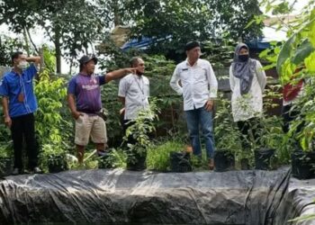 Dinas Perikanan Dorong Peningkatan Produksi dan Usaha Perikanan