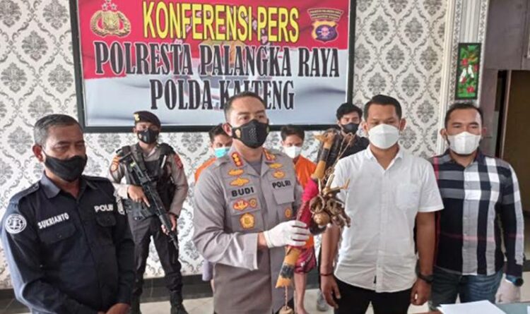 Polisi Akhirnya Tangkap 2 Pelaku Pembacokan Anggota Polda Kalteng
