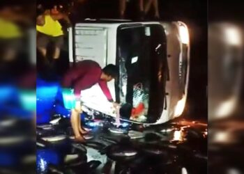 Truk Muatan Ikan Terbalik , Ratusan Ikan Berhamburan di Jalan