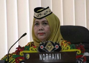 Teks Poto - Anggota Komisi C DPRD Kota Palangka Raya, Norhaini.