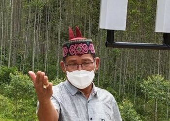 DAD Kalteng Minta Kepala Daerah Tegas Menegakan UU Perkebunan dan Perda Kalteng Nomor 5 Tahun 2011