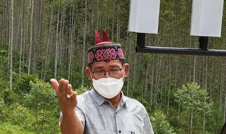 DAD Kalteng Minta Kepala Daerah Tegas Menegakan UU Perkebunan dan Perda Kalteng Nomor 5 Tahun 2011