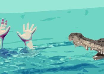 Ilustrasi di terkam buaya (ist) / https://kaltengtoday.com/