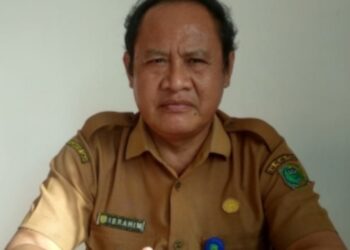 Pulang Pisau Siapkan Stok Hewan Ternak Sapi 250 Ekor