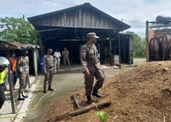 Mendekati Idul Qurban, Dinas Pertanian Turun Mengecek Hewan