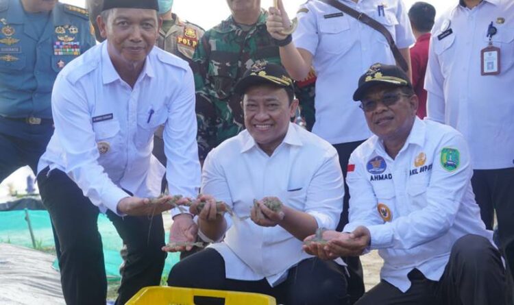 Wagub Kalteng Tinjau Pembangunan Kawasan Shrimp Estate di Desa Sei Pasir Kabupaten Sukamara