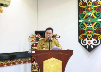 Halikinnor : Lulus Kuliah Tak Harus Menjadi PNS