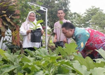 Warga Kelurahan Panarung Diajak Manfaatkan Pekarangan Rumah Untuk Menanam Sayur dan Buah