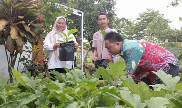 Warga Kelurahan Panarung Diajak Manfaatkan Pekarangan Rumah Untuk Menanam Sayur dan Buah