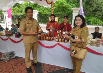 Pemkab Barsel Berkomitmen Terus Perkenalkan IKM dan UKM