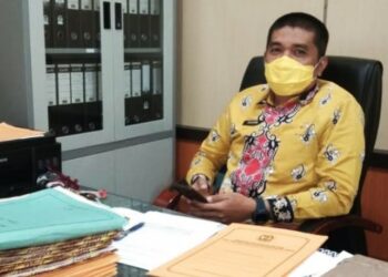 Pemkab Pulang Pisau Susun Perda Pajak