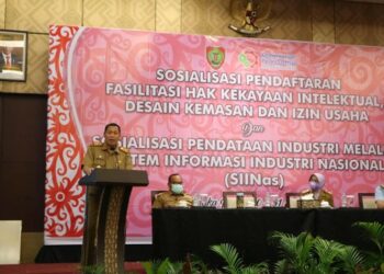 Sahli Gubernur Buka Sosialisasi Pendaftaran Fasilitasi HAKI, Desain Kemasan dan Izin Usaha